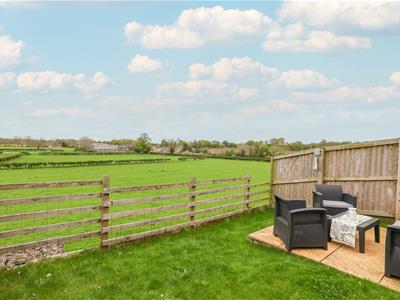 Picture 21